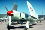 Hawker Sea Fury, MYNV13P05_01