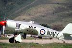 Hawker Sea Fury, MYNV13P05_04