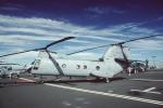 HC-3, CH-46 Sea Knight, MYNV13P07_18