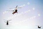 Piasecki HUP-1 Retriever, Helicopter, Heritage Flight, MYNV13P15_09