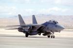 Nellis Airforce Base, Las Vegas, Nevada, Grumman F-14 Tomcat, MYNV15P12_17