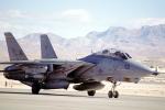 Nellis Airforce Base, Las Vegas, Nevada, Grumman F-14 Tomcat, MYNV15P12_18