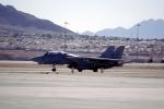Nellis Airforce Base, Las Vegas, Nevada, Grumman F-14 Tomcat, MYNV15P13_01