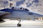 Nellis Airforce Base, Las Vegas, Nevada, Grumman F-14 Tomcat, MYNV15P13_04