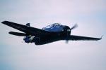 Grumman Avenger in Flight, Spinning Propeller, MYNV15P14_07