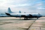 924, LN, Lockheed P-3 Orion