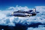 Grumman Avenger flown by George H W Bush, Grumman TBF