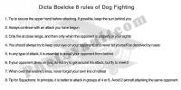 Dicta Boelcke Eight Rules of Dog Fighting