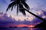 Sunset, Palm Tree, beach, clouds, NAFV01P02_02
