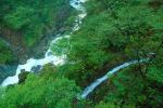 Kegon Falls, Kegonnotaki, Trees, Waterfall, Nikko, NAJV01P01_18.1270