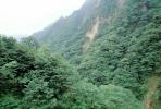 Trees, Forest, Mountains, Nikko