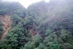 Trees, Forest, Waterfall, Nikko, NAJV01P02_10