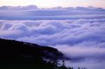 Fog, Clouds, NAJV01P05_19