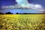 Mount Fuji, NAJV01P08_03