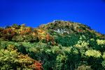 Forest, Woodlands, Mountain, Nikko, autumn