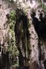 Batu Caves, limestone, NAMV01P02_05