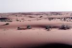 Sand Dunes, plants, Desert, Barren Landscape, Saudi Arabia, NAPV01P02_18