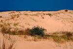 sand dunes, NAZV01P02_03.1270