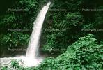 Rain Forest, Jungle, verdant, Waterfall, NBCV01P01_16