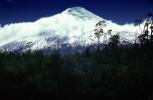 Volcanic Peak, Snow, Clouds, Forest, Volcano, NBHV01P05_15