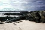 Beach, Clouds, Shorebirds, rock, sand, ocean, NBKV01P02_18