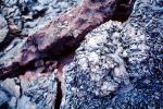 cooled lava, NBKV01P04_03