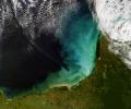 Swirls of most likely sediment in the water, Gulf of Mexico, Yucatan Peninsula