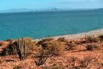 Punta Pescadero, Sea of Cortez, Baja California Sur, NBMV01P04_12.1272