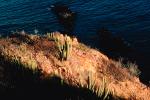 Punta Pescadero, Sea of Cortez, Baja California Sur, NBMV01P04_14.1272
