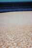 Sand, Beach, Pacific Ocean, NBMV01P08_14.1272