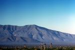 Dry Landscape, Mountain Range, desert, cactus stubs, NBMV02P01_03