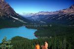 Peyto Lake, Canadian Rockies, Banff National Park, water, 1950s