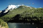 River, Forest, Mountains, NCAV01P03_18