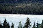 Lake, Water, Woodlands, Forest, Trees, Waterfowl Lake, NCAV01P04_02
