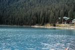 Lake, Water, Woodlands, Forest, Trees, Waterfowl Lake