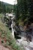 Maligne Canyon, creek, river, rapids, rock, trees, forest, waterfall, NCAV01P07_02