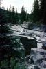 Maligne Canyon, creek, river, rock, trees, forest