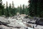 Maligne Canyon, creek, river, rapids, rock, trees, forest