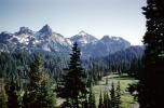 Mountains, Trees, Woodlands, Peaks, Forest, NCAV01P08_19