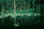 Lake, woodland, reflection, water, NCAV01P09_13