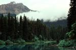 Forest, Lake, Mountains, water, NCAV01P11_06