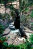 whitewater, river, trees, woodland, forest, rapids, turbulent, NCAV02P01_07