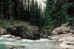whitewater, river, trees, woodland, forest, rapids, turbulent, NCAV02P01_09