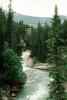 whitewater, river, trees, woodland, forest, rapids, turbulent, NCAV02P01_11