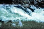 Waterfalls, Turbulent River, Rapids, NCBV01P05_01