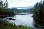 Kispiox River, Skeena Country, tributary of the Skeena River, water, trees, mountains