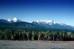 mountains, trees, Selkirk Mountain, British Columbia, NCBV01P08_13