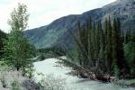 Forest, trees, River near Muncho Lake, Mountains, water, June 1993