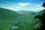 Thick Forest, lakes, valley, water, woodlands, river, near Quesnel