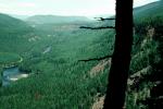 Thick Forest, lakes, valley, water, near Quesnel, NCBV01P13_03